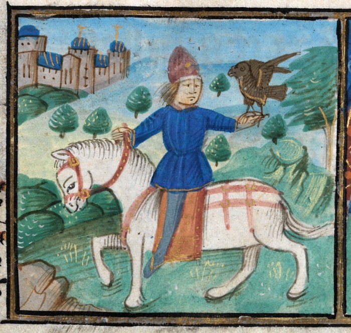 A falconer and his horse