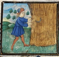 Reaping in a calendar in the 'De Grey' Book of hours, NLW MS 15537C, f.7 (Digital Mirror).