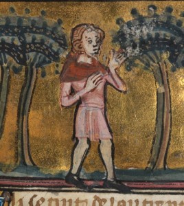 The Lover in the 'Roman de la Rose', manuscript NLW 5016D, f.8., c.14th century (Digital Mirror).