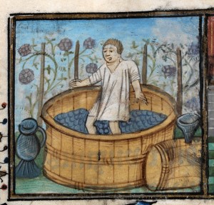 Pressing grapes in a calendar to show September in the 'De Grey Book of Hours', NLW MS 15537C, f.9 (Digital Mirror).
