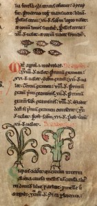 A section on bees in the Welsh Laws of Hywel Dda, Peniarth 28 MS, f.22r (Digital Mirror).