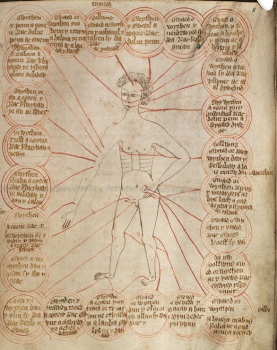 Bleeding the body in a 15th century manuscript